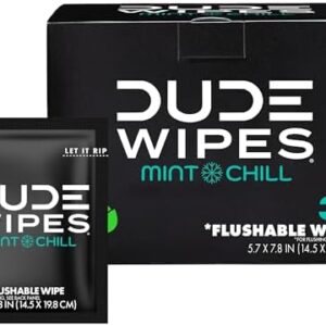 DUDE Wipes - On-The-Go Flushable Wipes - 1 Pack, 30 Wipes - Mint Chill Extra-Large Individually Wrapped Adult Wet Wipes - Eucalyptus & Tea Tree Oil - Septic and Sewer Safe